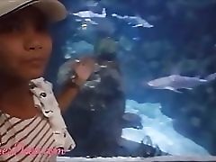 Горловой минет от горячей азиатки Смотреть Горловой минет от горячей азиатки